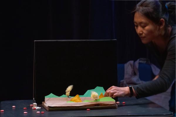 Object Theatre and Puppetry